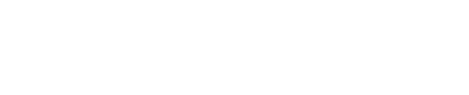 Evoluir Logo